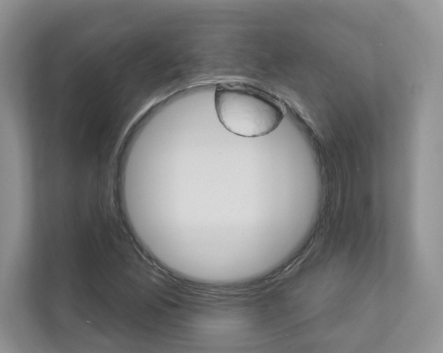 X0000112941165200908241001