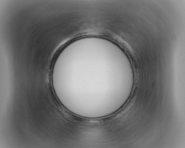 X0000112941166200908241001