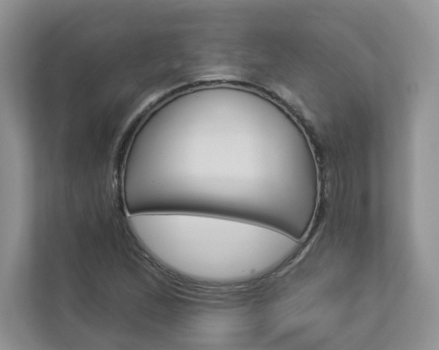 X0000112941167200908241001