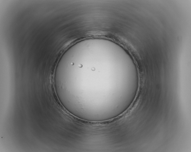 X0000112941169200908241001