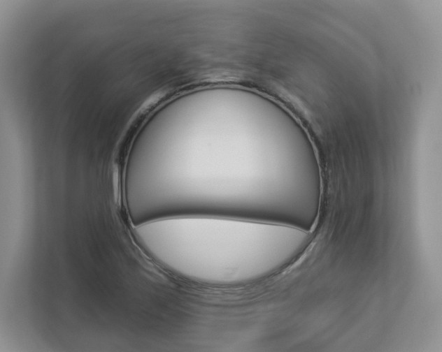 X0000112941171200908241001