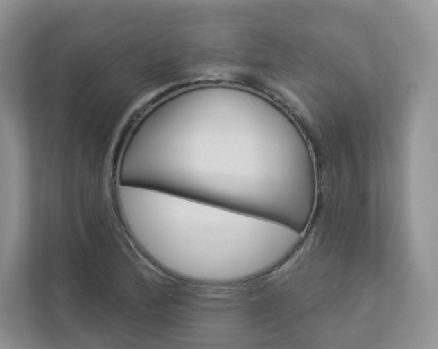 X0000112941172200908241001