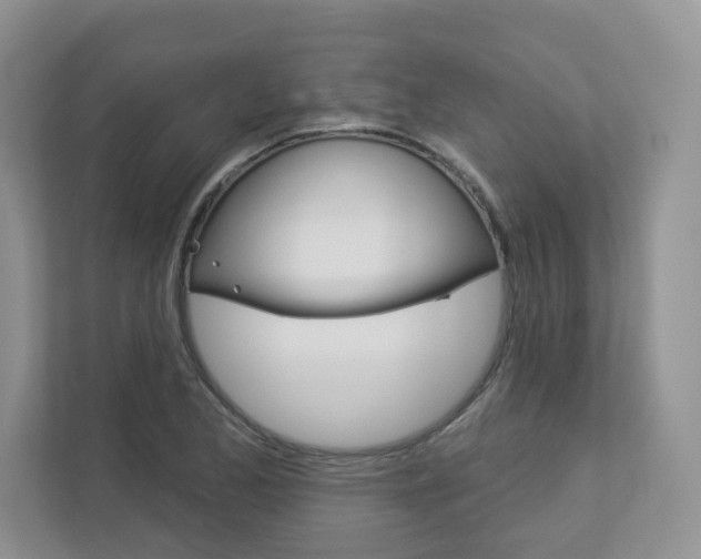 X0000112941173200908241001