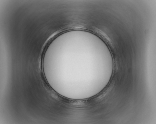 X0000112941174200908241001