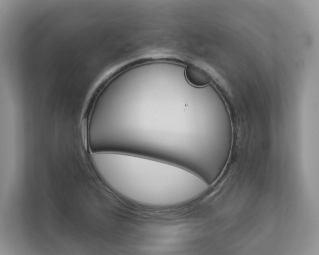 X0000112941175200908241001