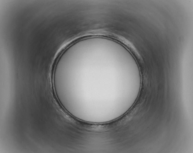 X0000112941176200908241001