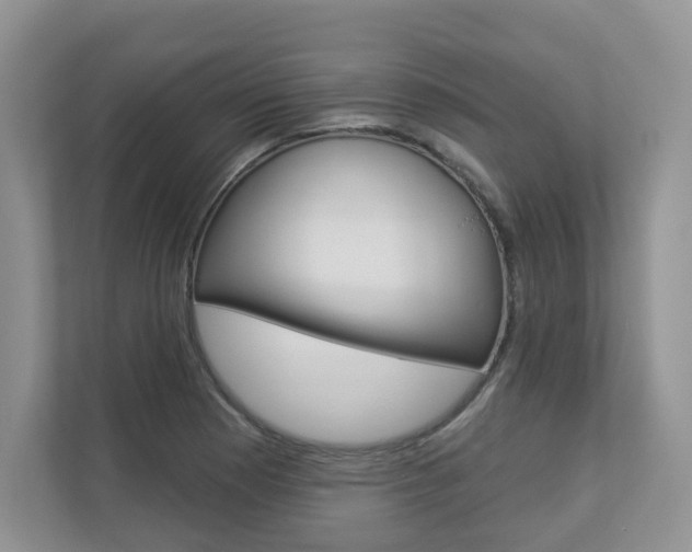 X0000112941177200908241001