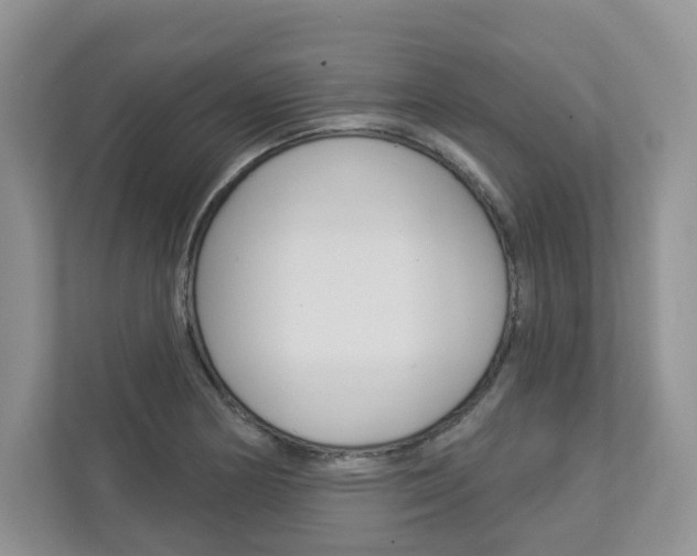 X0000112941178200908241001