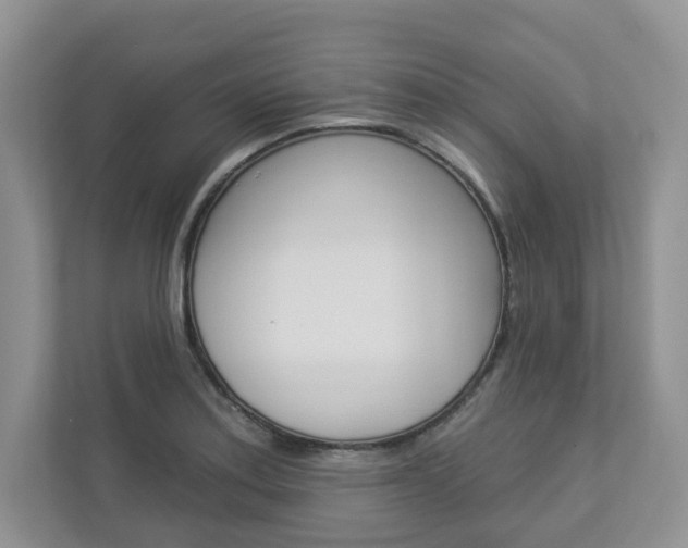 X0000112941179200908241001