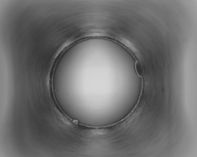 X0000112941181200908241001