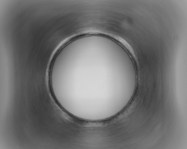 X0000112941183200908241001