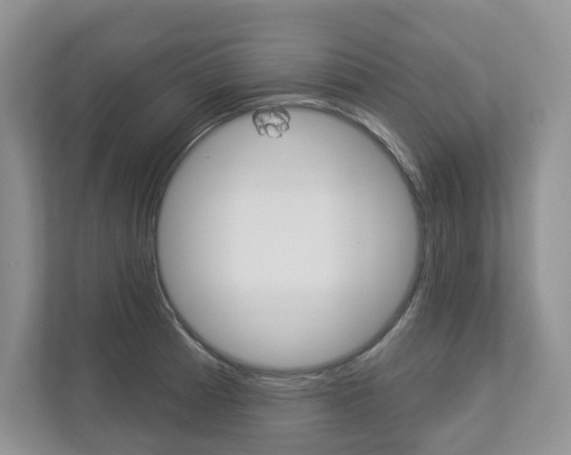 X0000112941185200908241001