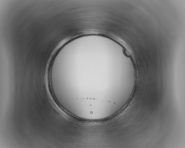 X0000112941187200908241001