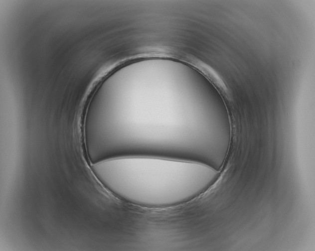 X0000112941192200908241001
