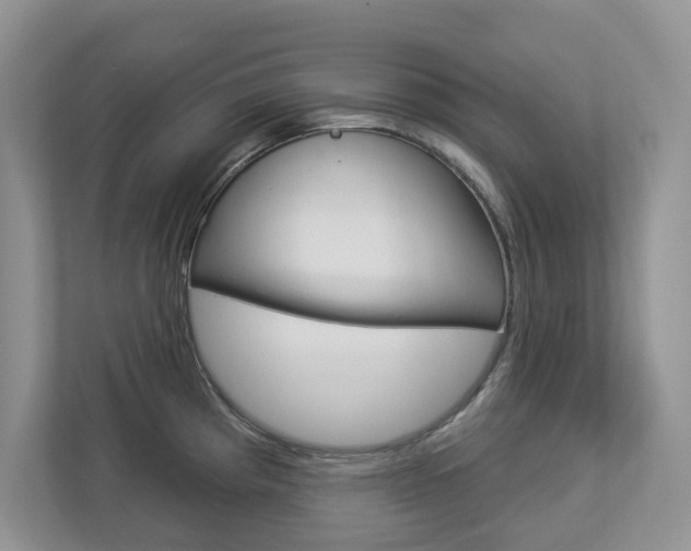 X0000112941193200908241000