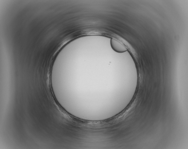 X0000112941194200908241000