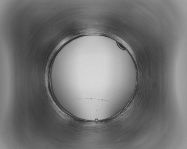 X0000112941195200908241000