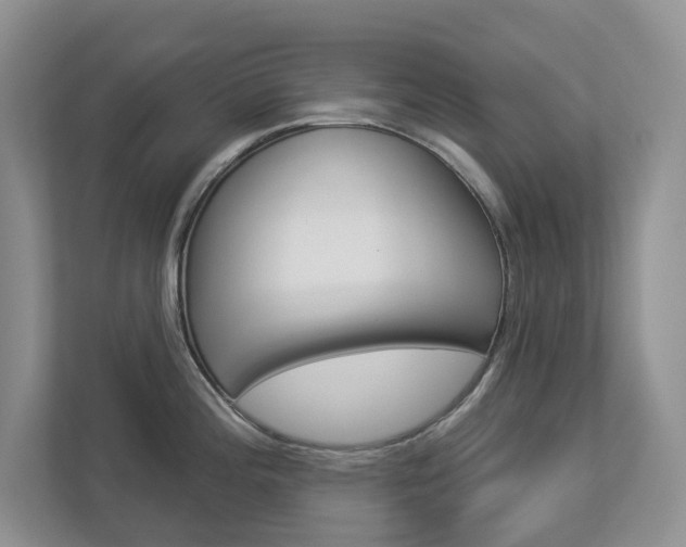 X0000112941196200908241000