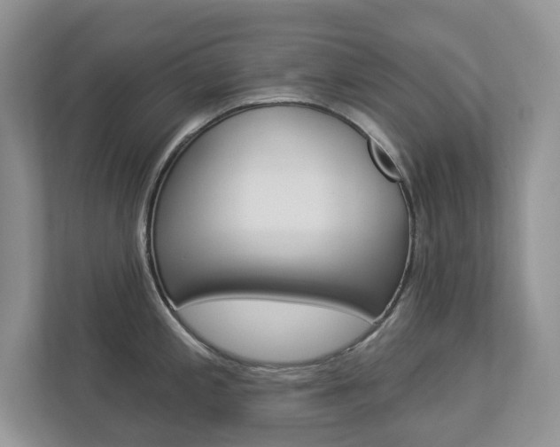 X0000112941197200908241000