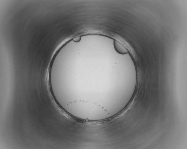X0000112941198200908241000