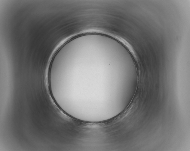 X0000112941199200908241000