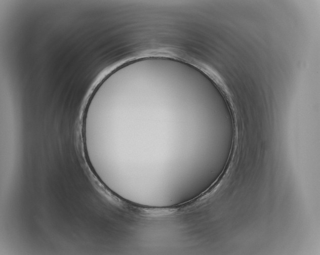 X0000112941200200908241000