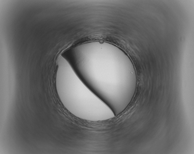 X0000112941201200908241000