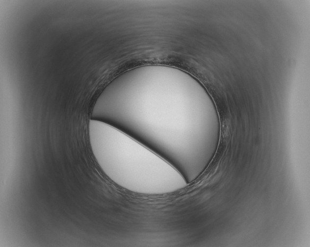 X0000112941202200908241000