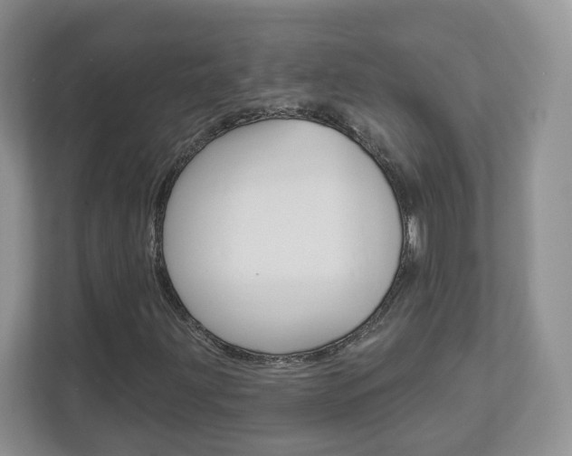 X0000112941203200908241000