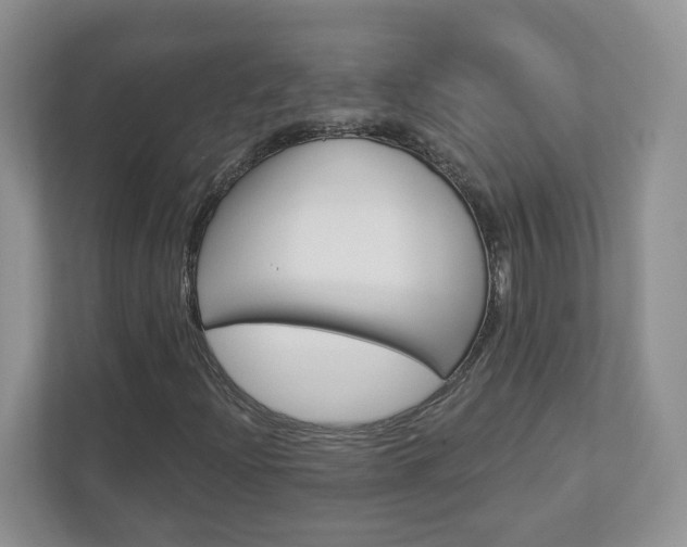 X0000112941204200908241000