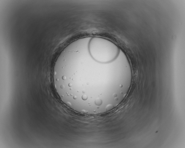 X0000112941205200908241000