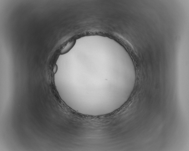 X0000112941207200908241000