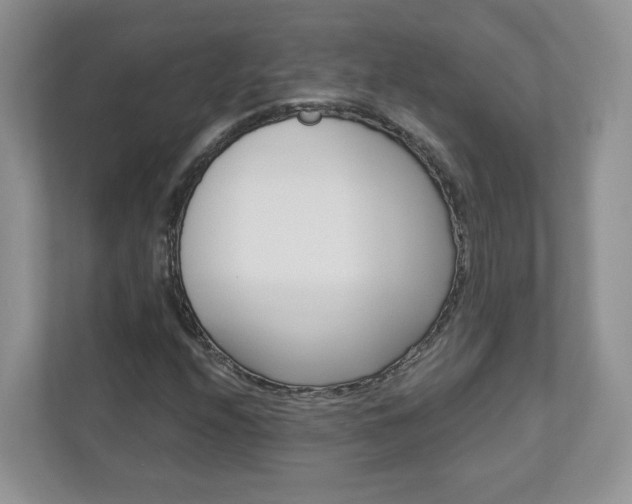 X0000112941208200908241000