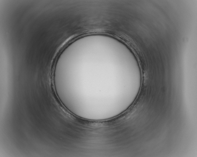 X0000112941212200908241000