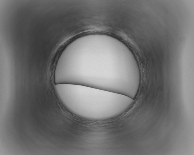 X0000112941215200908241000