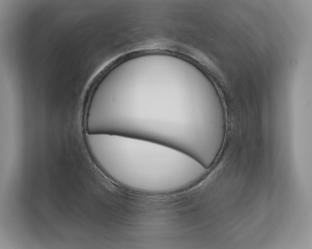 X0000112941216200908241000