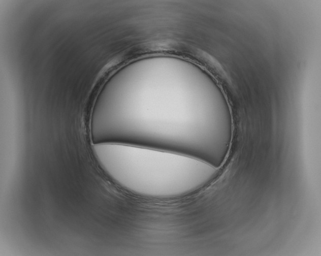 X0000112941218200908241000