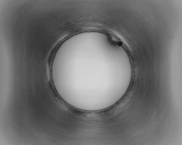 X0000112941219200908241000