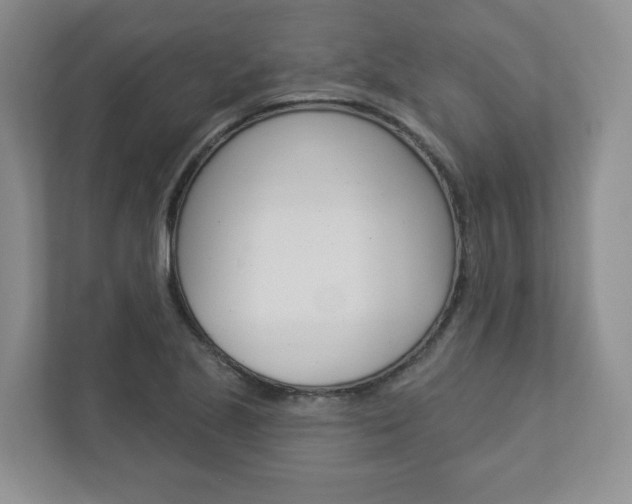 X0000112941221200908241000