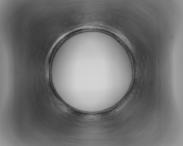 X0000112941224200908241000