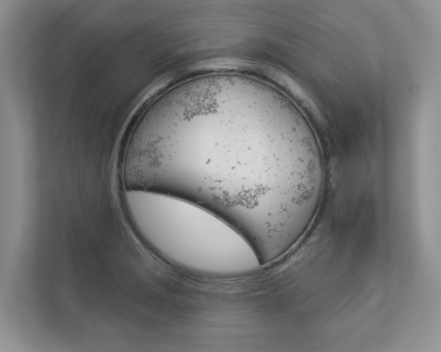 X0000112941229200908241000