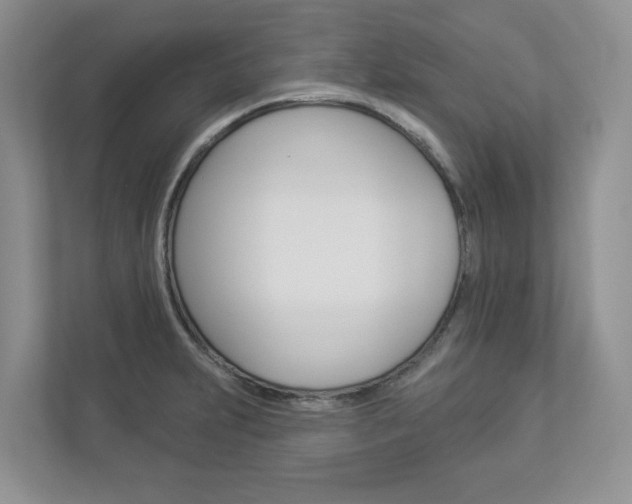 X0000112941231200908241000