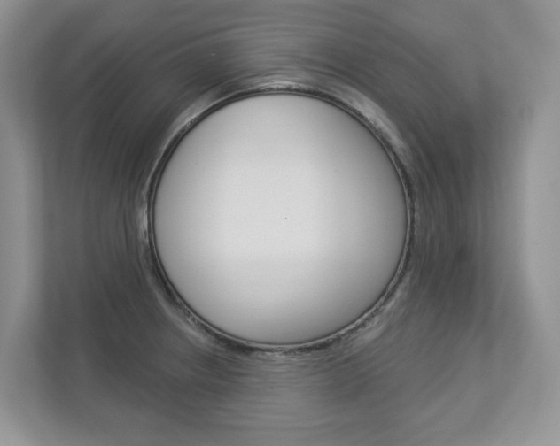 X0000112941234200908241000