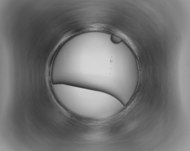 X0000112941235200908241000