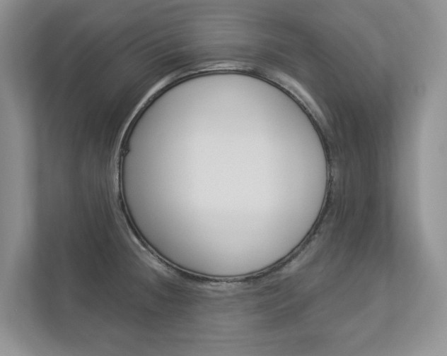 X0000112941236200908241000