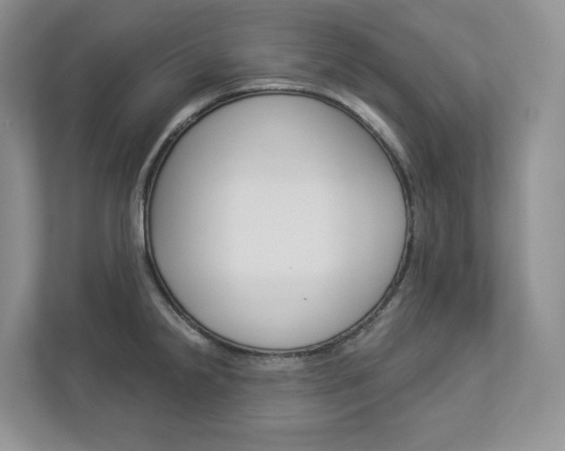 X0000112941238200908241000