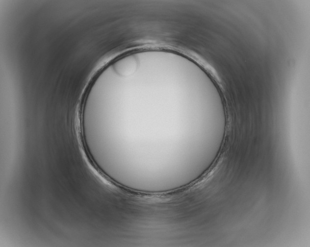 X0000112941239200908241000