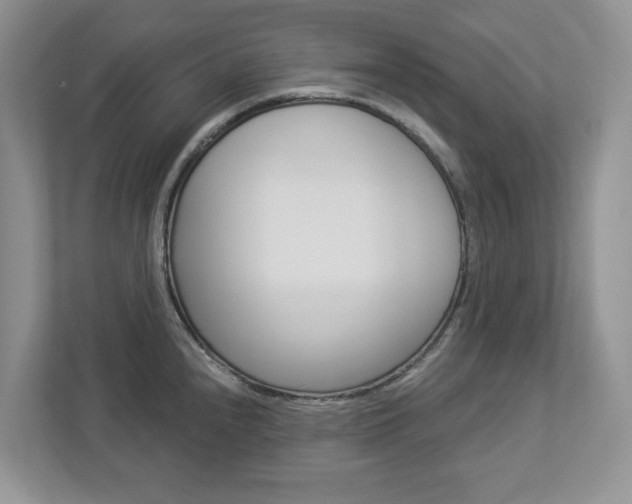 X0000112941240200908241000