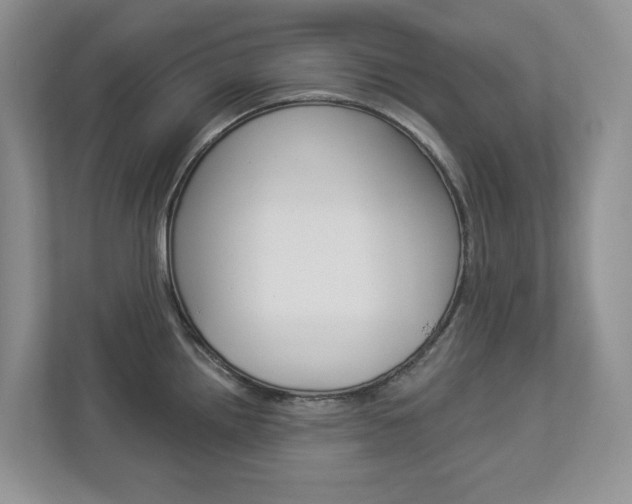 X0000112941242200908241000