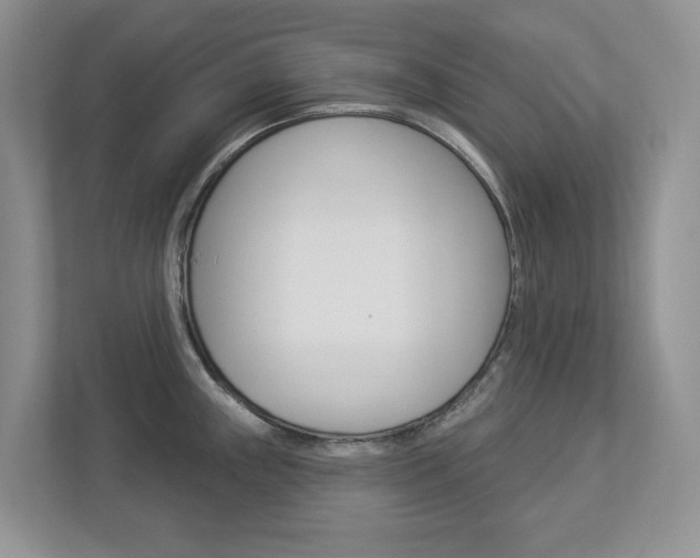 X0000112941243200908241000